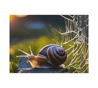 Puzzle Difficile Per Adulti 1000pcs(52x38cm) Snail And Spider Web 01 Puzzle Per Adulti Gioco Pratico Decorazione Perfetta Ottimo Regalo Per I Giocatori 1000pcs(52x38cm)