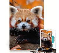 Puzzle difficile per adulti con panda rosso su un ramo in autunno, 1000 pezzi, stimola la memoria, favorisce la calma, taglio liscio, classico regalo (38x52cm)