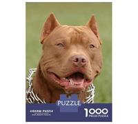 Puzzle Difficile Per Adulti Da 1000 Pezzi Pitbull Red Nose Dog Puzzle Antistress Giocattoli Analisi E Logica Regalo Di Compleanno, Regali, 70x50cm/1000pcs