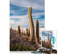 Puzzle difficile "Saline della Bolivia" per adulti, 1000 pezzi, gioco di logica fine, divertente e rilassante, bordi puliti, regalo premuroso (38x52cm)