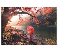 Puzzle Educa alba sul fiume Katsura, Giappone 1000 pezzi