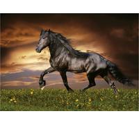 Puzzle Educa Cavallo al Galoppo 1000 Pezzi