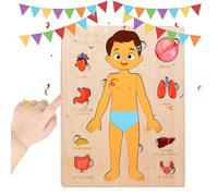 Puzzle educativo del corpo, giocattolo didattico per l'anatomia del legno, design scientifico con uso didattico, viaggio scolastico con stile per bambini, giocattolo in legno per l'apprendimento
