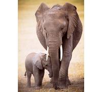 Puzzle Elefante e cucciolo 1000 pezzi