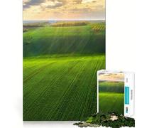 Puzzle estivo per adulti da 1000 pezzi, gioco per allenare la mente, svago leggero, design da assemblare, regalo stagionale 38x52cm