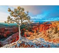 Puzzle EUROGRAPHICS Alba invernale, Bryce Canyon (1000 pezzi)