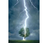 Puzzle Eurographics Albero colpito da un fulmine 1000 pezzi