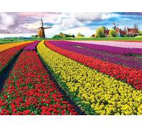 Puzzle EUROGRAPHICS campo di tulipani - 1000 pezzi