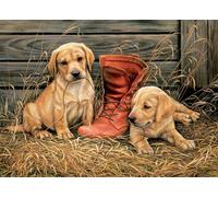 Eurographics - Puzzle Cuccioli con scarpa - 1000 Pezzi