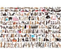 Puzzle EUROGRAPHICS mondo dei gatti - 2000 pezzi