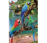 Puzzle EUROGRAPHICS pappagalli Ara XL 250 pezzi