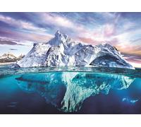 Puzzle EUROGRAPHICS Save Our Planet: Artico 1000 pezzi