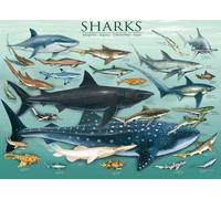 Puzzle EUROGRAPHICS Squali 1000 pezzi
