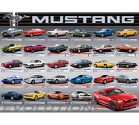 Puzzle Evoluzione della Ford Mustang 1000 pezzi