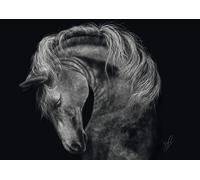 Puzzle Schmidt forza del cavallo incarnazione del potere 1000 pezzi