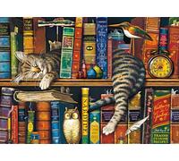 Puzzle Frederick SCHMIDT 1000 pezzi