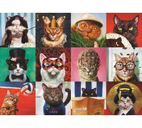 Eurographics - Puzzle Gatti divertenti - 1000 Pezzi