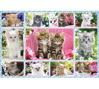 Schmidt - Puzzle Gattini - 100 Pezzi