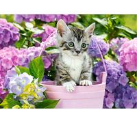 Puzzle gattino nel cesto 1500 pezzi