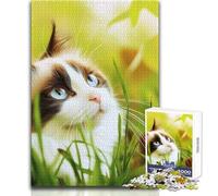 Puzzle Gatto nell'erba da 1000 pezzi per adolescenti, gioco di apprendimento consapevole e divertente, feste gioiose, dimensioni 50x75cm