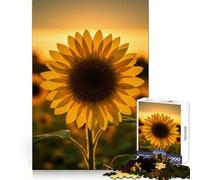 Puzzle Girasole al Tramonto, 1000 pezzi, per ragazzi, ideale per migliorare la memoria, per un relax divertente, con dettagli nitidi e un'opera d'arte da collezione 38x52cm