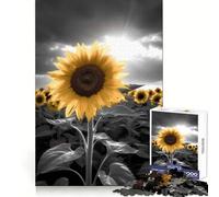Puzzle Girasole Bianco e Nero da 1000 pezzi per adolescenti, ideale per migliorare la memoria, rilassarsi e divertirsi, con tagli netti e pezzi da collezione 38x52cm