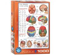 Puzzle - Il Cervello - 1000 Pezzi