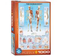 Puzzle - Il Corpo Umano - 1000 Pezzi