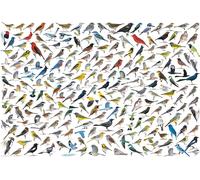 Puzzle Il mondo degli uccelli 2000 pezzi