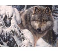 Puzzle Il Signore del Nord 1000 Pezzi