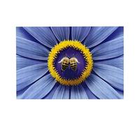 Puzzle in legno a forma di ape, cuore, fiore, orizzontale, 300 pezzi, per il tempo libero e la creatività della famiglia