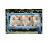 Puzzle in legno con 300 pezzi di Chow-Chow, simpatici cani e cinque cuccioli, con scatola di imballaggio per adulti