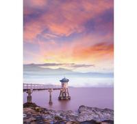 Puzzle in Legno da 1000 Pezzi con Pezzi Sagomati di Precisione Esperienza senza Schermi per Riunioni Familiari Team Building Weekend e Feste Sollievo dallo Stress