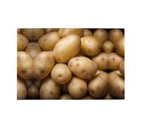Puzzle in legno da 1000 pezzi WZYWHJ Potato stampato per adulti e bambini, perfetto per divertimento in famiglia, antistress