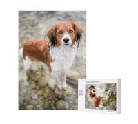 Puzzle in legno da 300 pezzi con cani nell'acqua del fiume, cani marroni e bianchi, con scatola di imballaggio per adulti.