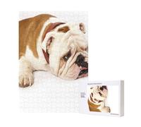 Puzzle in legno da 300 pezzi con fotografia di bulldog inglese triste e stanco con crema marrone e scatola di imballaggio per adulti