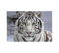 Puzzle in legno da 300 pezzi con tigre bianca invernale e scatola di imballaggio per adulti