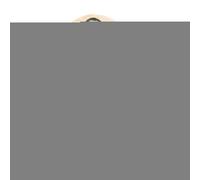 Puzzle in legno da incasso di forme - Set di associazione da 20 cm per sviluppare abilità motorie, riconoscimento dei colori e smistamento. Design con bordi lisci. Giocattolo educativo ideale per le