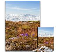 Puzzle in legno "Fiori selvatici nella tundra" da 1000 pezzi per adulti perfetto come decorazione per la casa o l'ufficio ideale come regalo di Natale 1000 pezzi (38x26 cm)