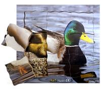 Puzzle in legno multistrato Anatra e il suo ciclo di vita - 19 pezzi