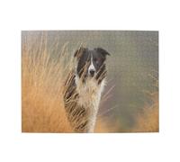 Puzzle in legno per adulti Border Collie Lawn Pets Black White Border 500 pezzi - Puzzle in legno per adulti e anziani