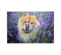 Puzzle in legno per adulti con 300 pezzi di Chow-Chow, dolci e soffici cani marroni, viola e selvaggi.