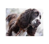 Puzzle in legno per adulti da 500 pezzi raffigurante cani ricci bianchi e marroni di Cocker Spaniel inglese - Puzzle per adulti e anziani