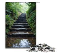 Puzzle in legno per adulti Wet Stone Steps Puzzle in legno da 1000 pezzi regalo creativo per adolescenti e adulti