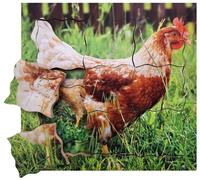 Puzzle in Legno Stratificato Ciclo di Vita della Gallina