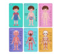 Puzzle in Legno Struttura Corpo per Bambini Gioco Educativo | Riconoscimento delle Parti Anatomiche, Sviluppo e Manuale, un Set per Ragazze e Ragazzi in Età Prescolare