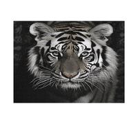 Puzzle in legno tigre bianca e nera con scatola portaoggetti, puzzle ecologico in legno per il tempo libero, sollievo dallo stress e decorazione, 500 pezzi
