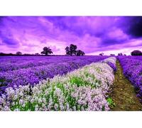 Puzzle in Legno Viola Lavanda 500/1000/1500/2000/3000/4000/5000/6000 Pezzi di Paesaggio Floreale Pittura Decorativa Giocattoli Educativi, 1500pieces