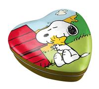 Puzzle In Scatola Da 300 Pezzi Di Snoopy E Woodstock