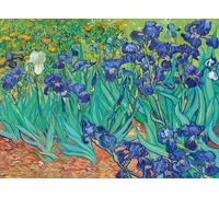 Puzzle Iris (1889) 3000 pezzi BLUEBIRD